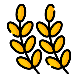 Grano Vivo — ремесленный хлеб и закваска в Валенсии