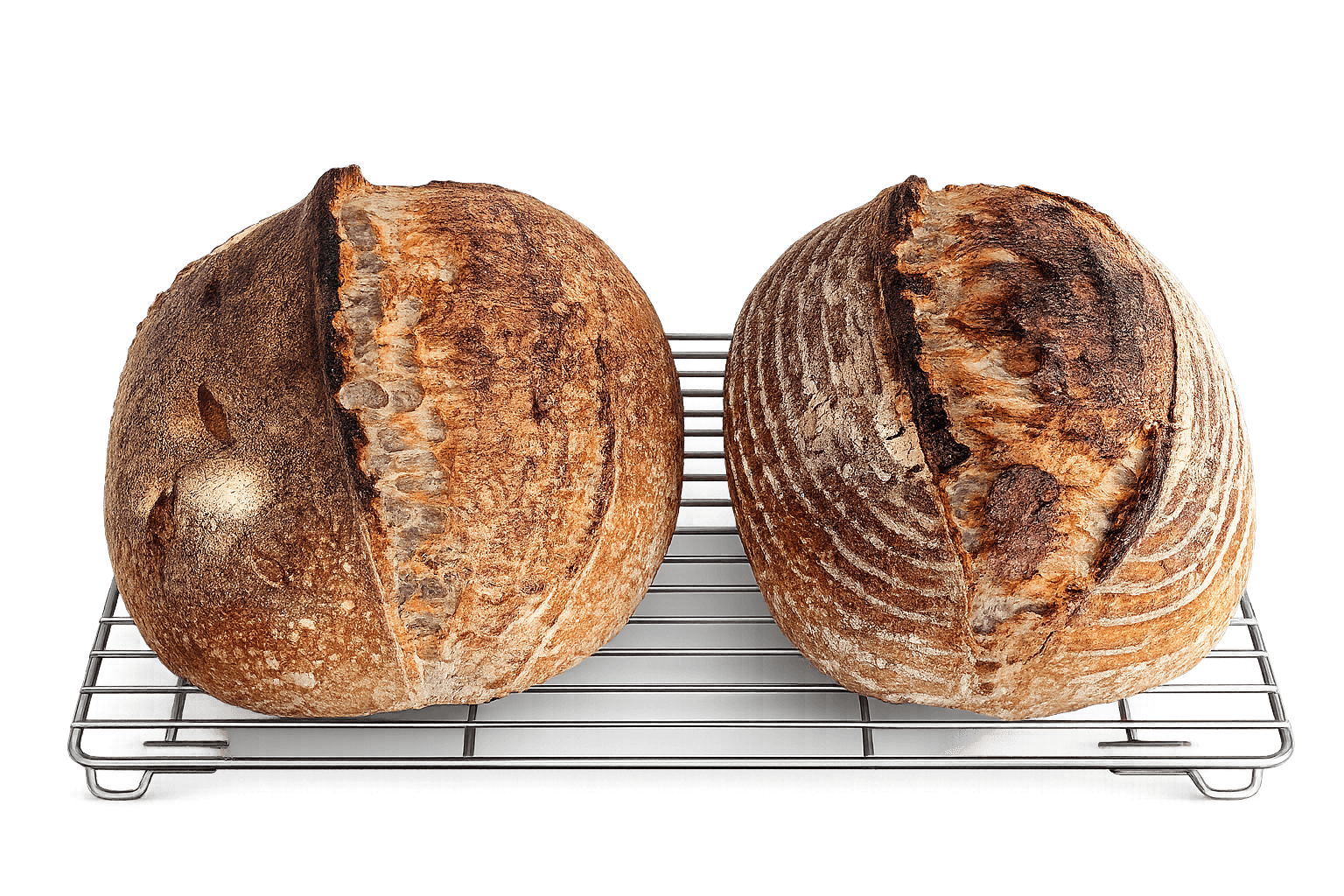 El pan que vive: masa madre, grano integral y la fuerza de Manitoba