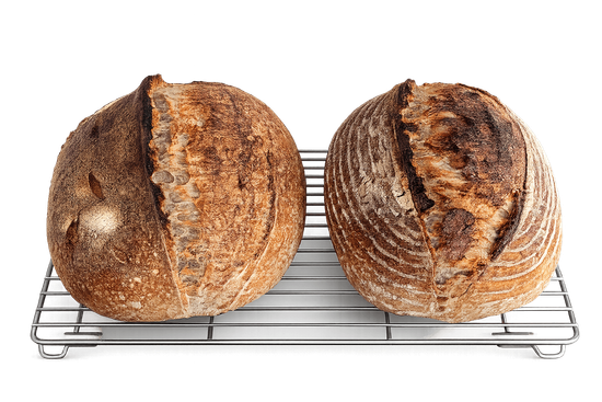 Imagen de: El pan que vive: masa madre, grano integral y la fuerza de Manitoba